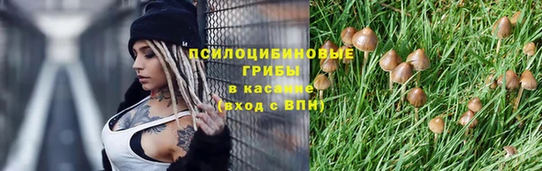 спиды Семилуки
