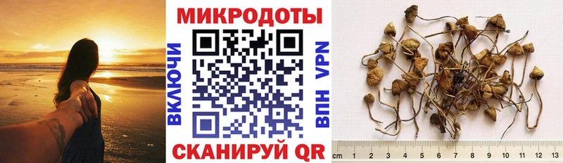 купить наркоту  ссылка на мегу онион  Галлюциногенные грибы GOLDEN TEACHER  Билибино 