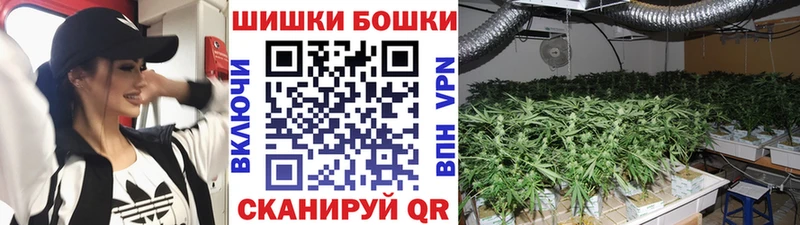 Бошки Шишки сатива  дарнет шоп  Билибино 